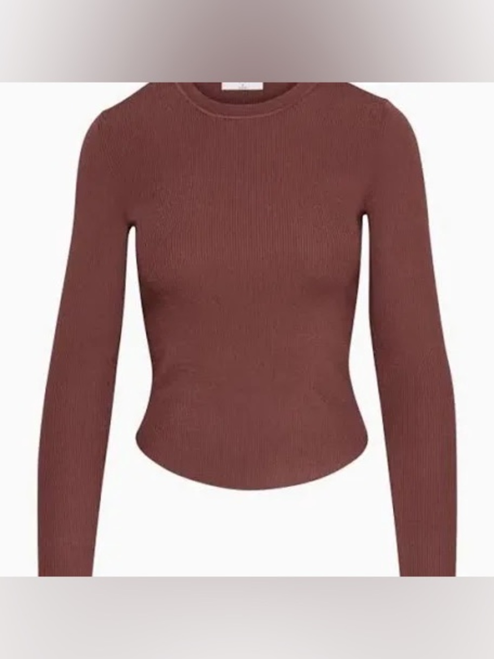 Aritzia TNA Ribbed Long-Sleeve Crewneck Top - Rust